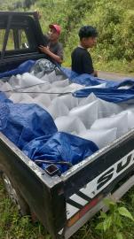 Karang Taruna Tebar Benih Ikan